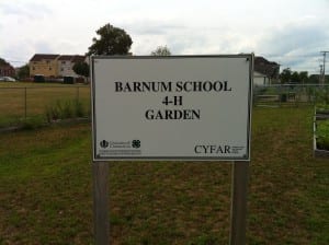 barnum sign